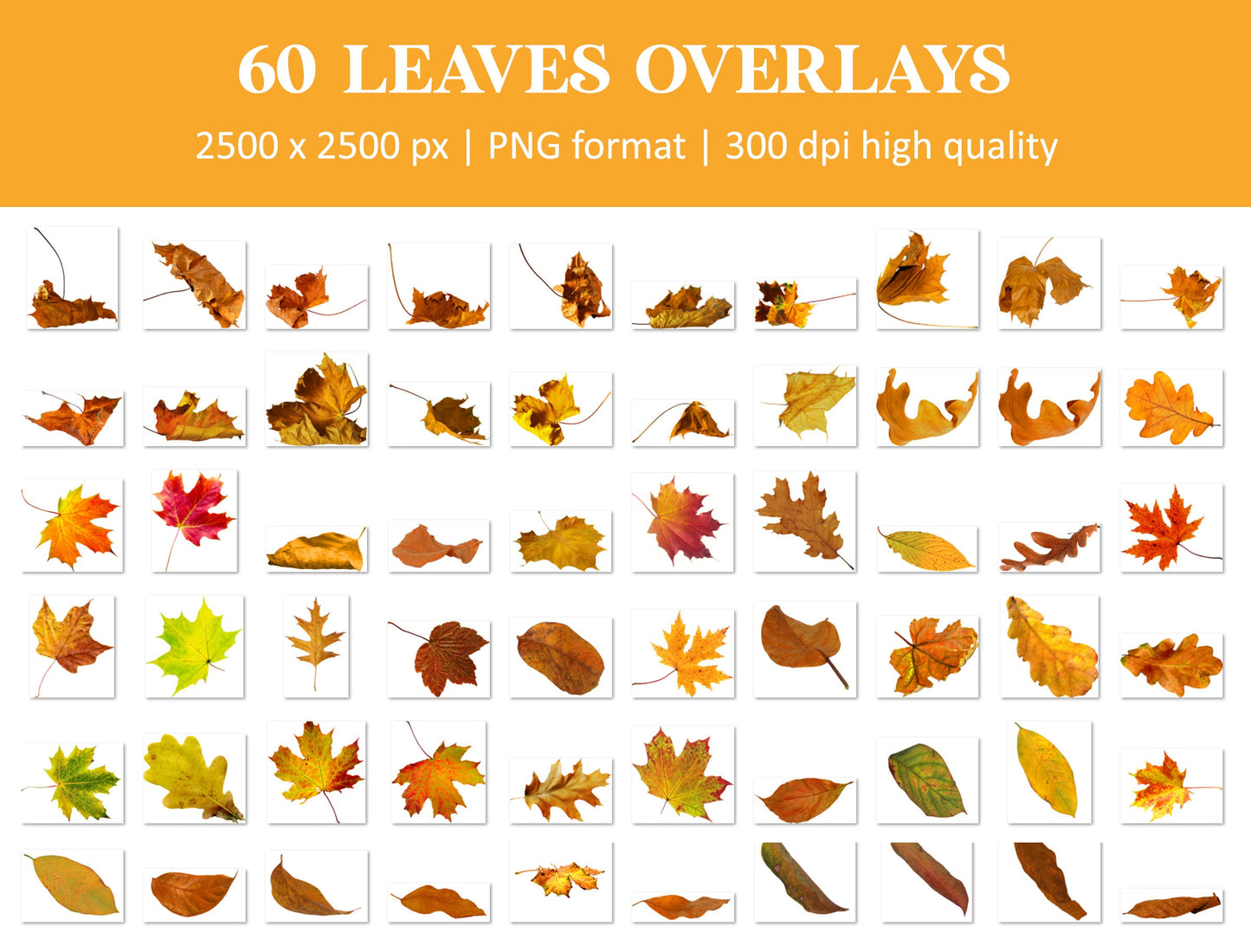 Autumn Leaves Overlays for Photoshop - Falling Fall Foliage & Seasonal Effects - Instant Digital Download