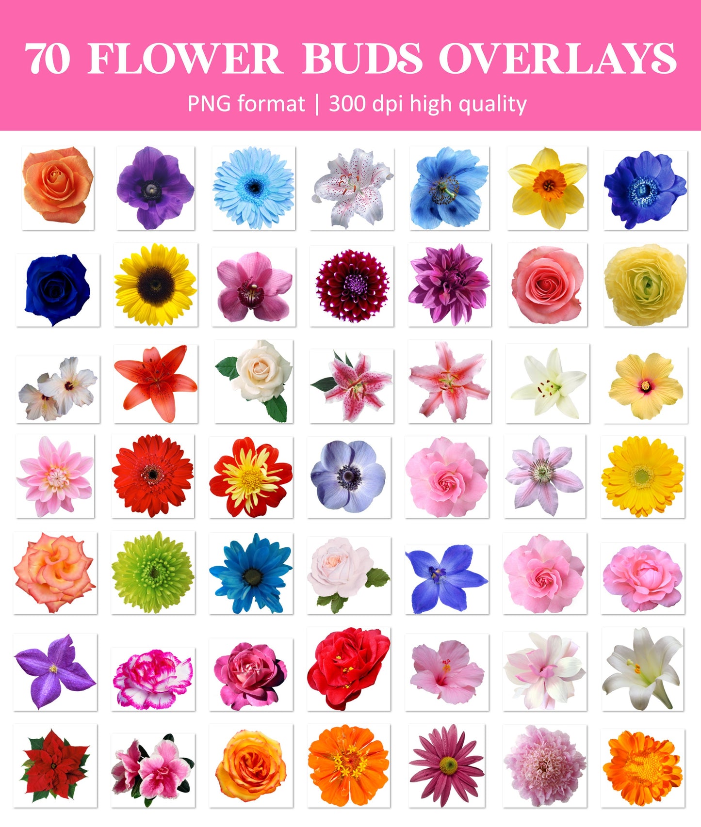 Flower Bud Overlays for Photoshop - Hair Clip & Floral Accent Effects - Instant Digital Download