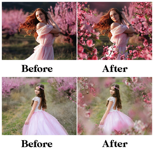 Blossom Branch Overlays for Photoshop - Painted Flower and Apple Blossom