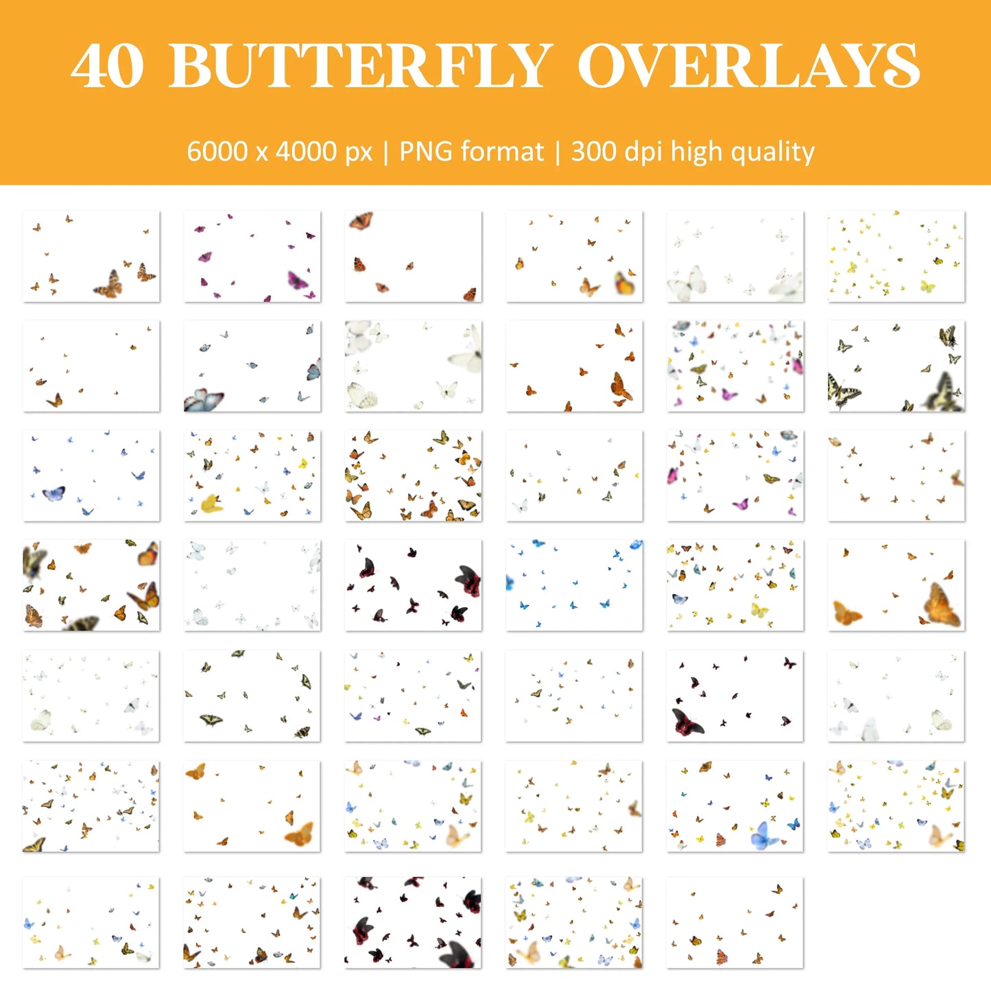 Butterfly Overlays for Photoshop - Realistic Flying Butterflies and Spring PNG