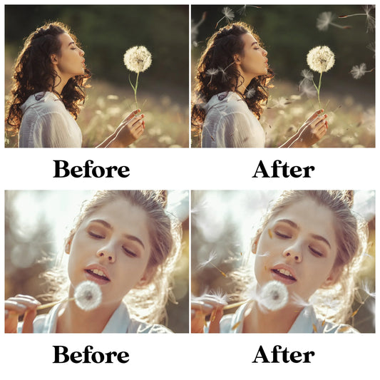 Dandelion Overlays for Photoshop - Blowing Seeds and Transparent PNG