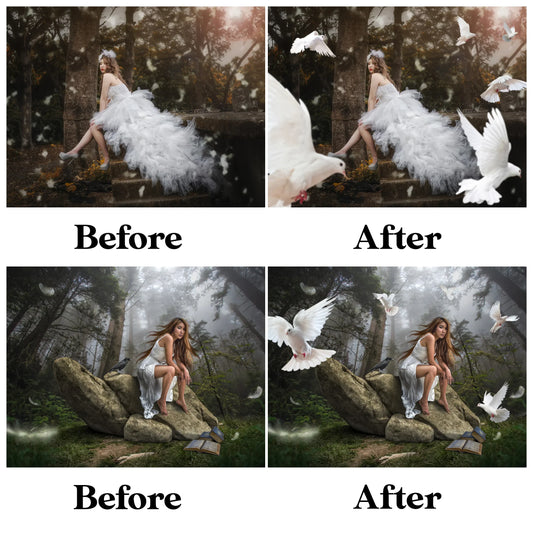 Dove Overlays for Photoshop - Wedding and White Bird PNG