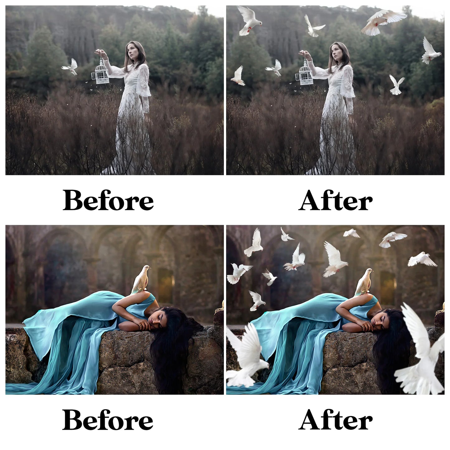 Dove Overlays for Photoshop - Wedding and White Bird PNG