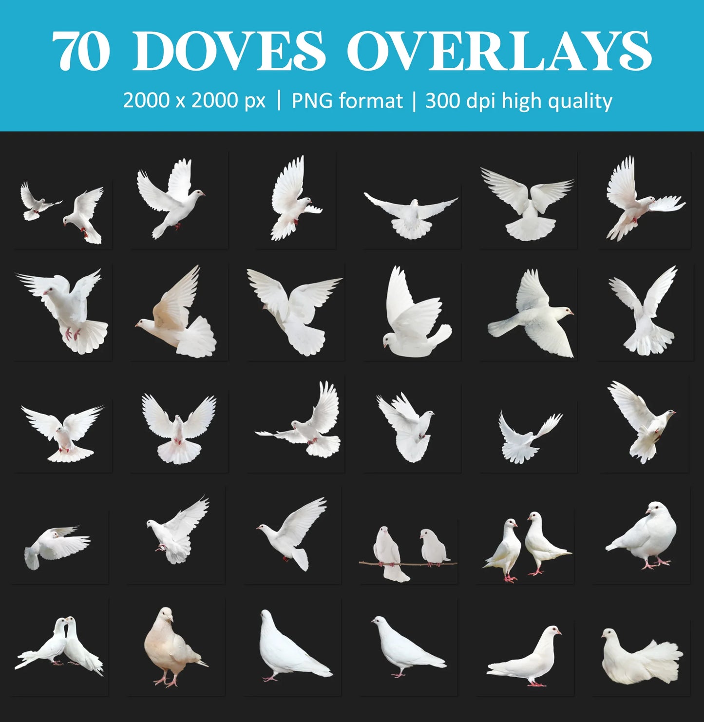 Dove Overlays for Photoshop - Wedding and White Bird PNG