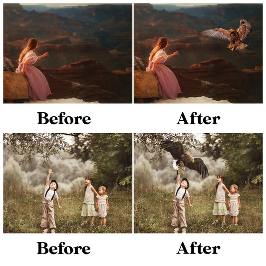 Eagle Overlays for Photoshop - Flying Bald Eagle and Patriotic Effects