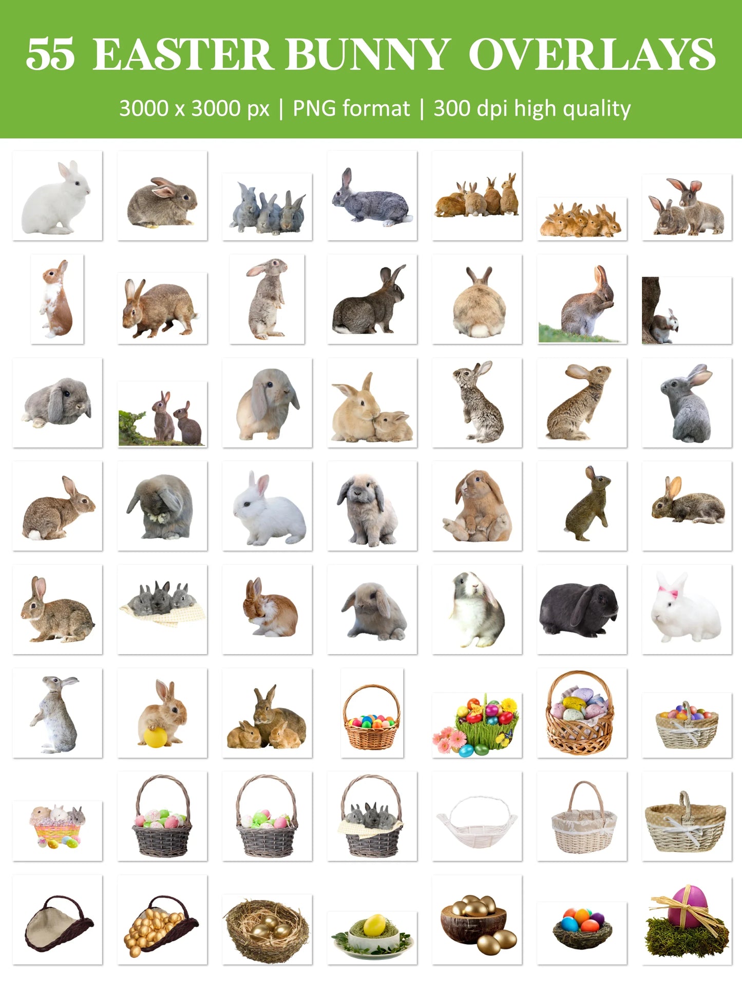 Easter Overlay for Photoshop - Bunny and Spring Animal PNG