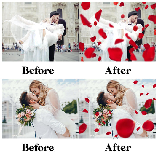 Falling Rose Petals Overlay for Photoshop - Valentine's Wedding Effects