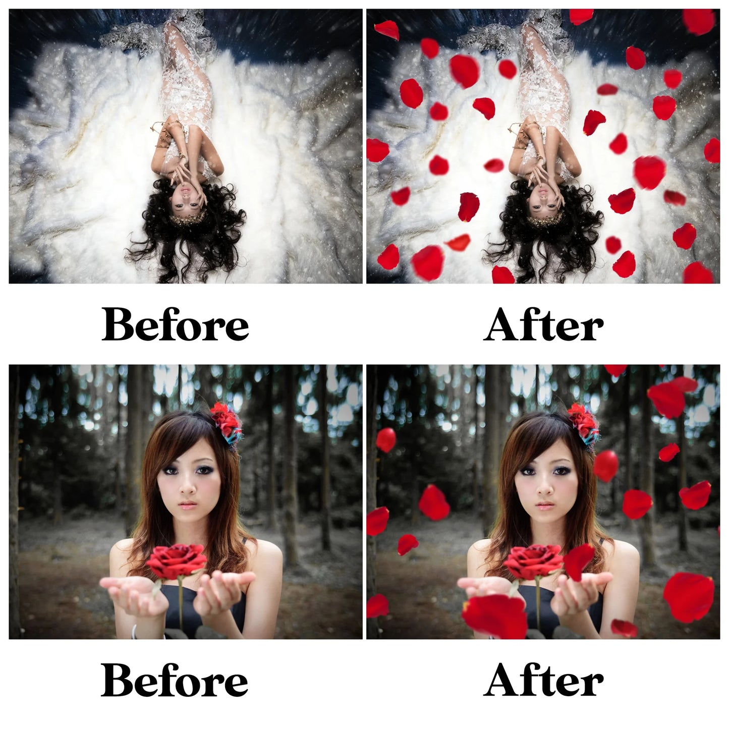 Falling Rose Petals Overlay for Photoshop - Valentine's Wedding Effects