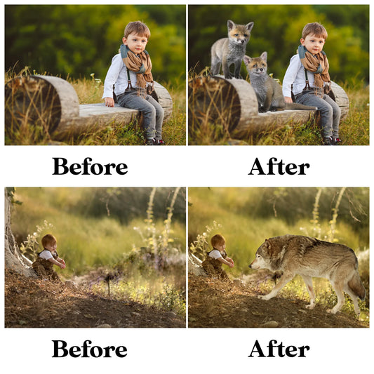 Forest Animal Overlays for Photoshop - Wolf, Fox and Hedgehog PNG