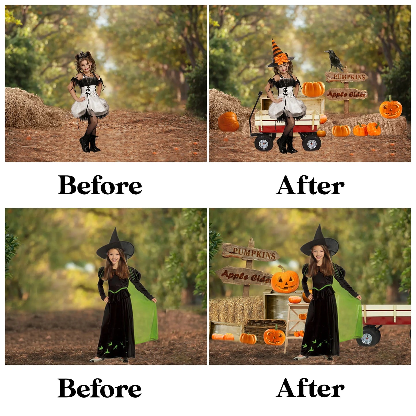 Halloween Overlay for Photoshop - Pumpkin and Witch Hat Effects