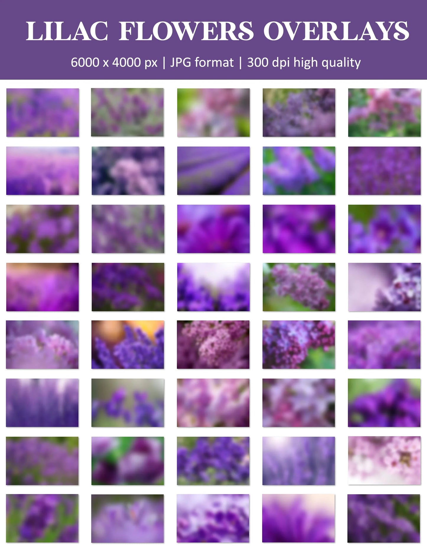 Lilac Flower Overlays for Photoshop - Spring Blossom Branches
