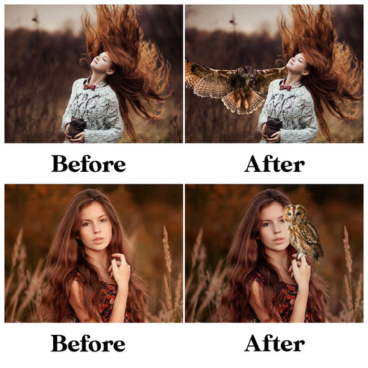 Owl Overlays for Photoshop - Night Bird and Woodland Creature Effects