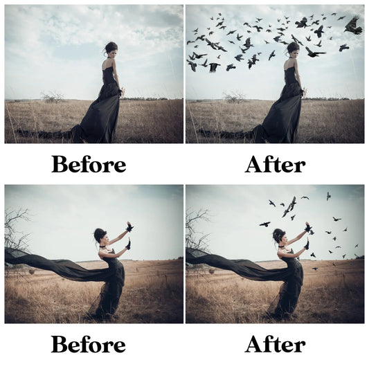 Raven Crow Overlays for Photoshop - Realistic Gothic Birds and Flock PNG