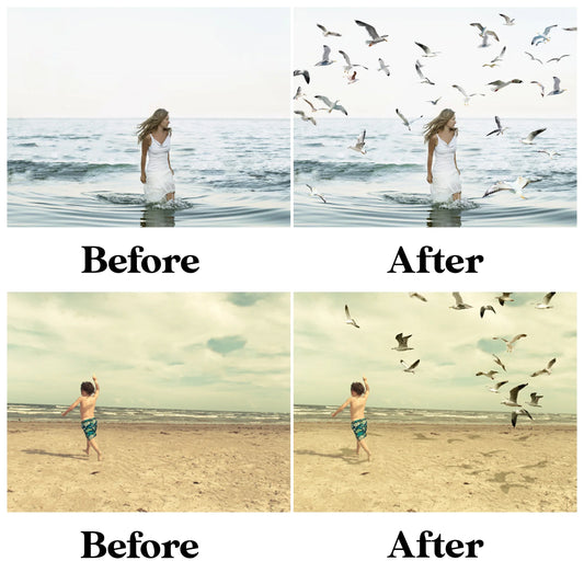 Realistic Seagull Overlays for Photoshop - Flying Bird Flock and Summer PNG
