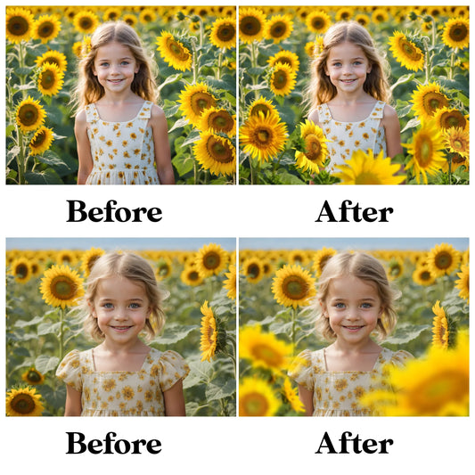 Sunflower Field Overlays for Photoshop - Summer Wildflower and Golden Petal Effects