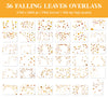 Autumn Leaves Overlays for Photoshop - Falling Fall Foliage and Seasonal Effects