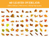 Autumn Leaves Overlays for Photoshop - Falling Fall Foliage and Seasonal Effects