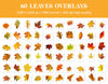 Autumn Leaves Overlays for Photoshop - Falling Fall Foliage and Seasonal Effects