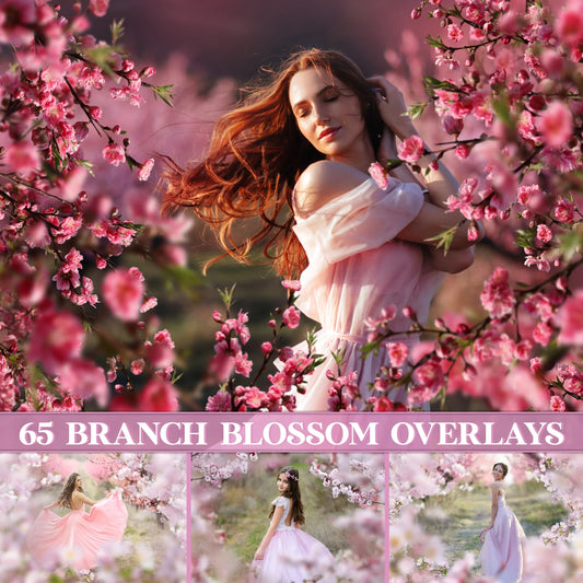 Blossom Branch Overlays for Photoshop - Painted Flower and Apple Blossom