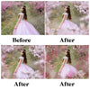 Blossom Branch Overlays for Photoshop - Painted Flower and Apple Blossom