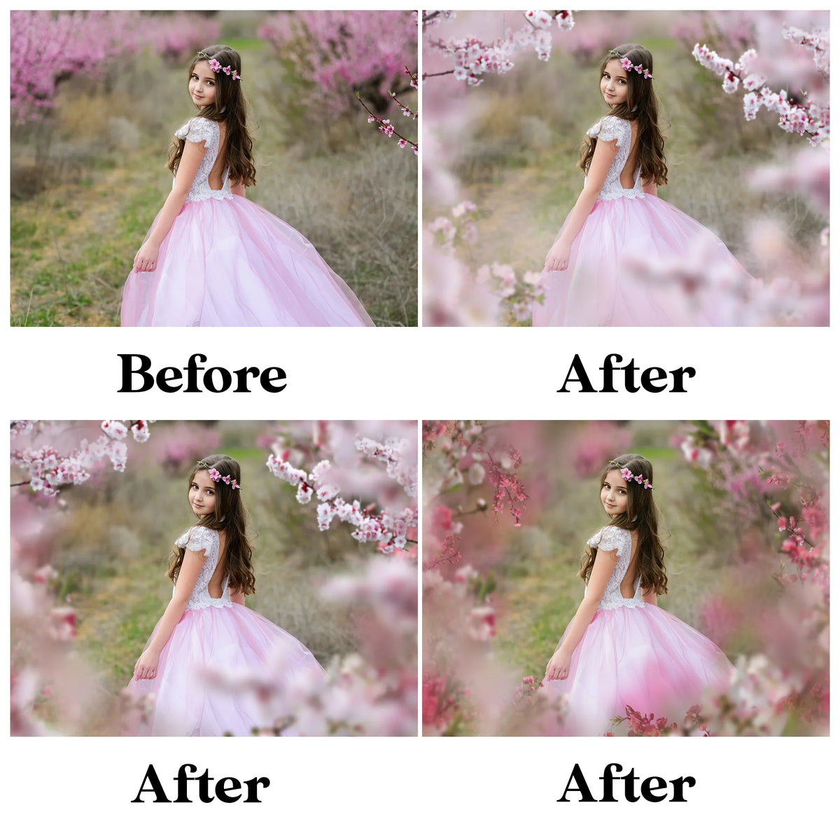 Blossom Branch Overlays for Photoshop - Painted Flower and Apple Blossom