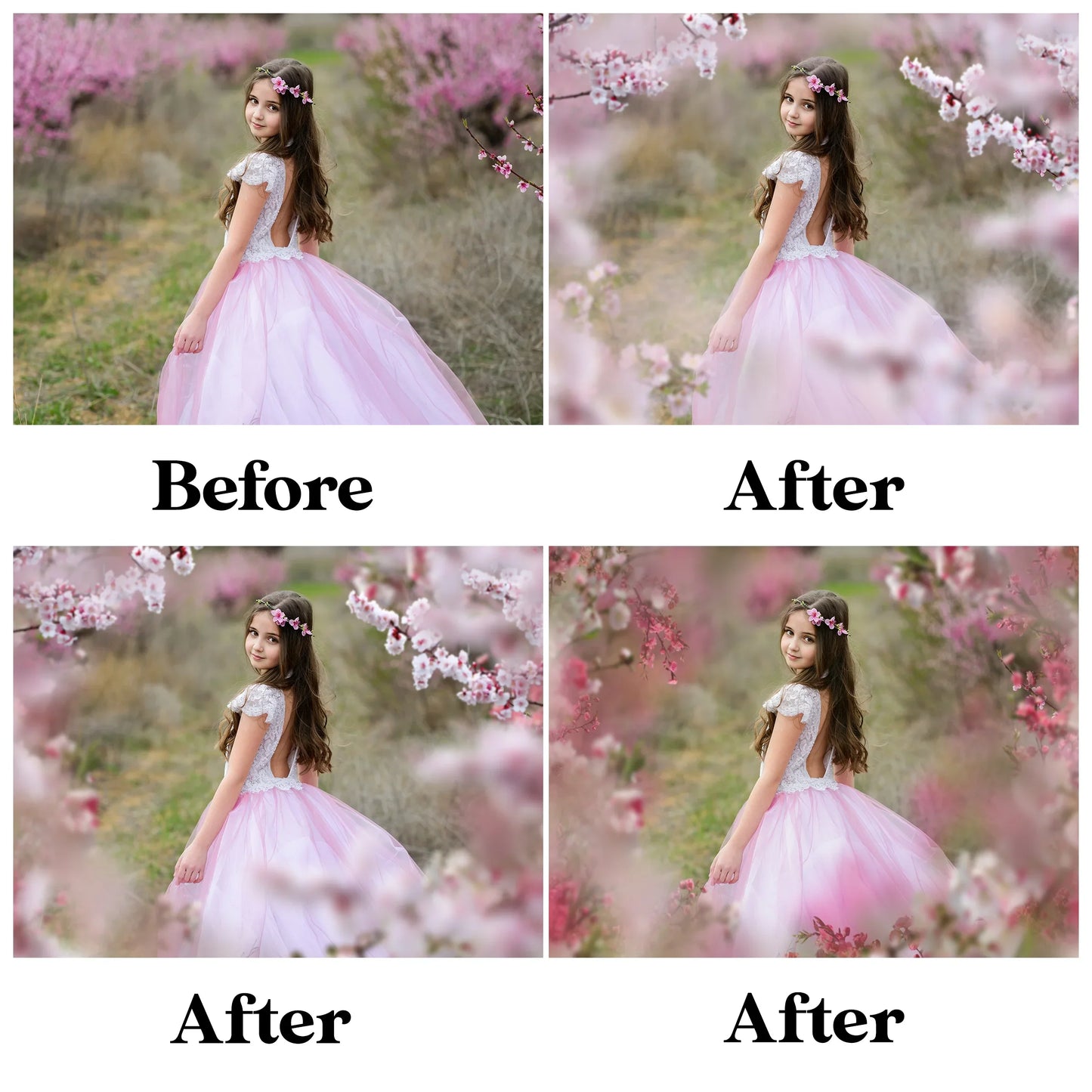 Blossom Branch Overlays for Photoshop - Painted Flower and Apple Blossom