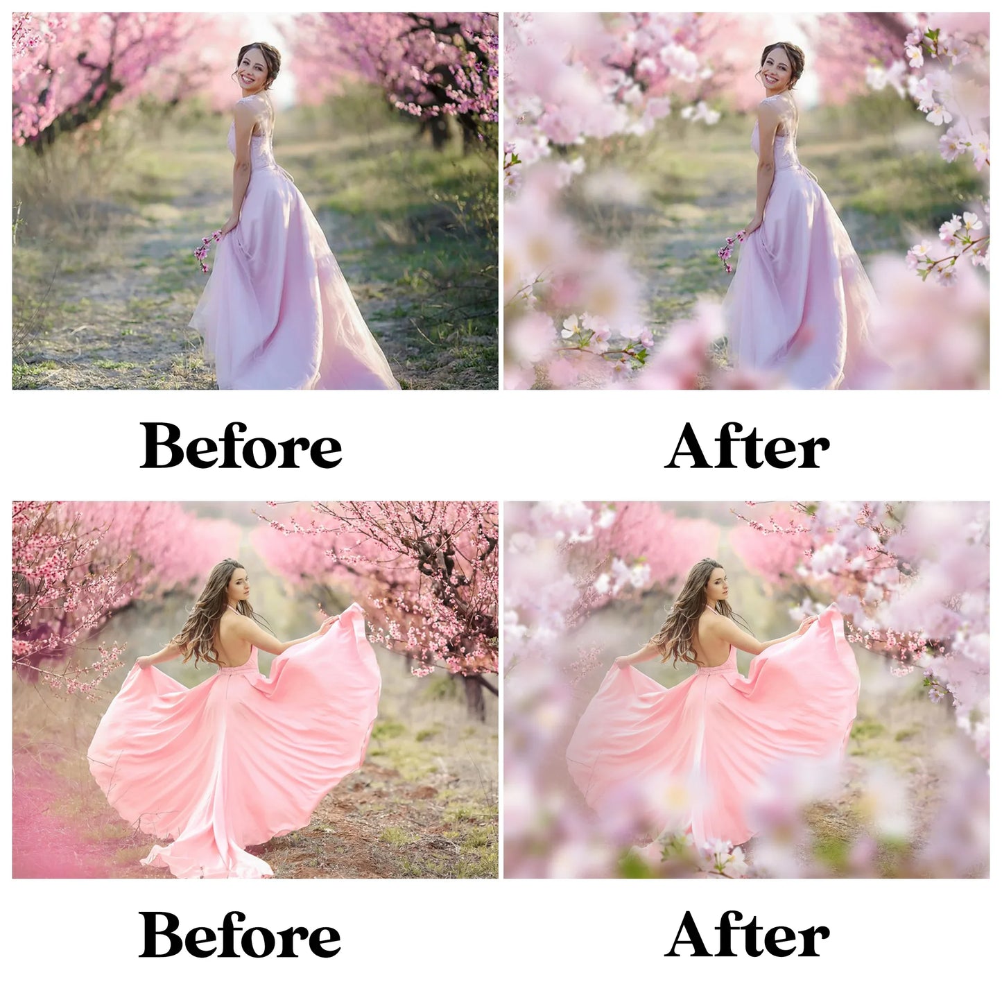 Blossom Branch Overlays for Photoshop - Painted Flower and Apple Blossom