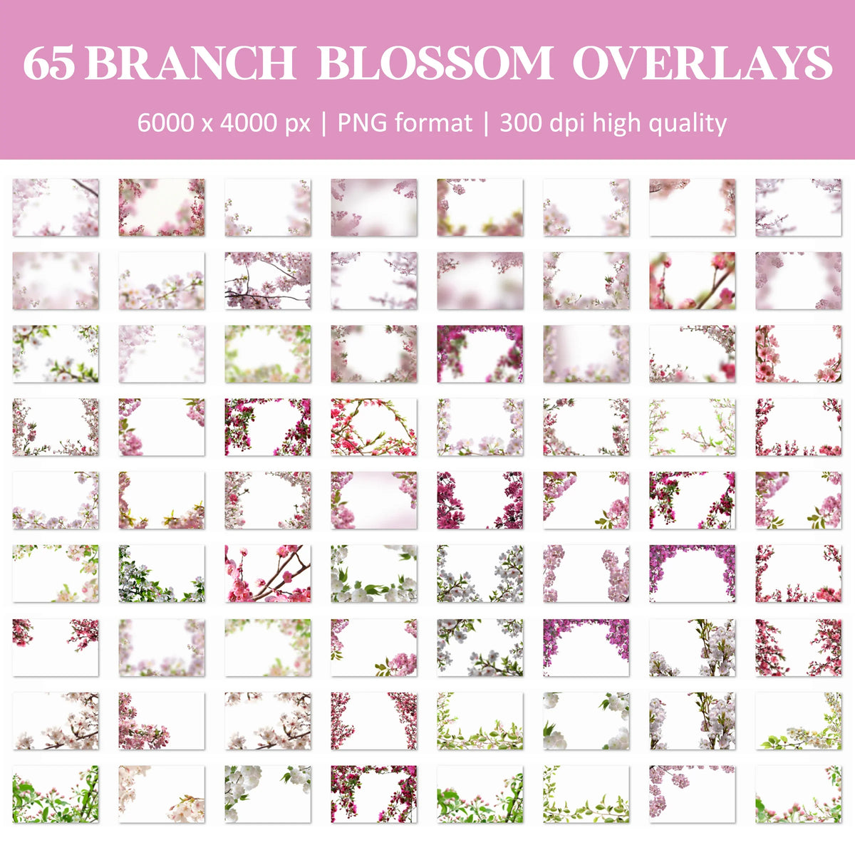 Blossom Branch Overlays for Photoshop - Painted Flower and Apple Blossom