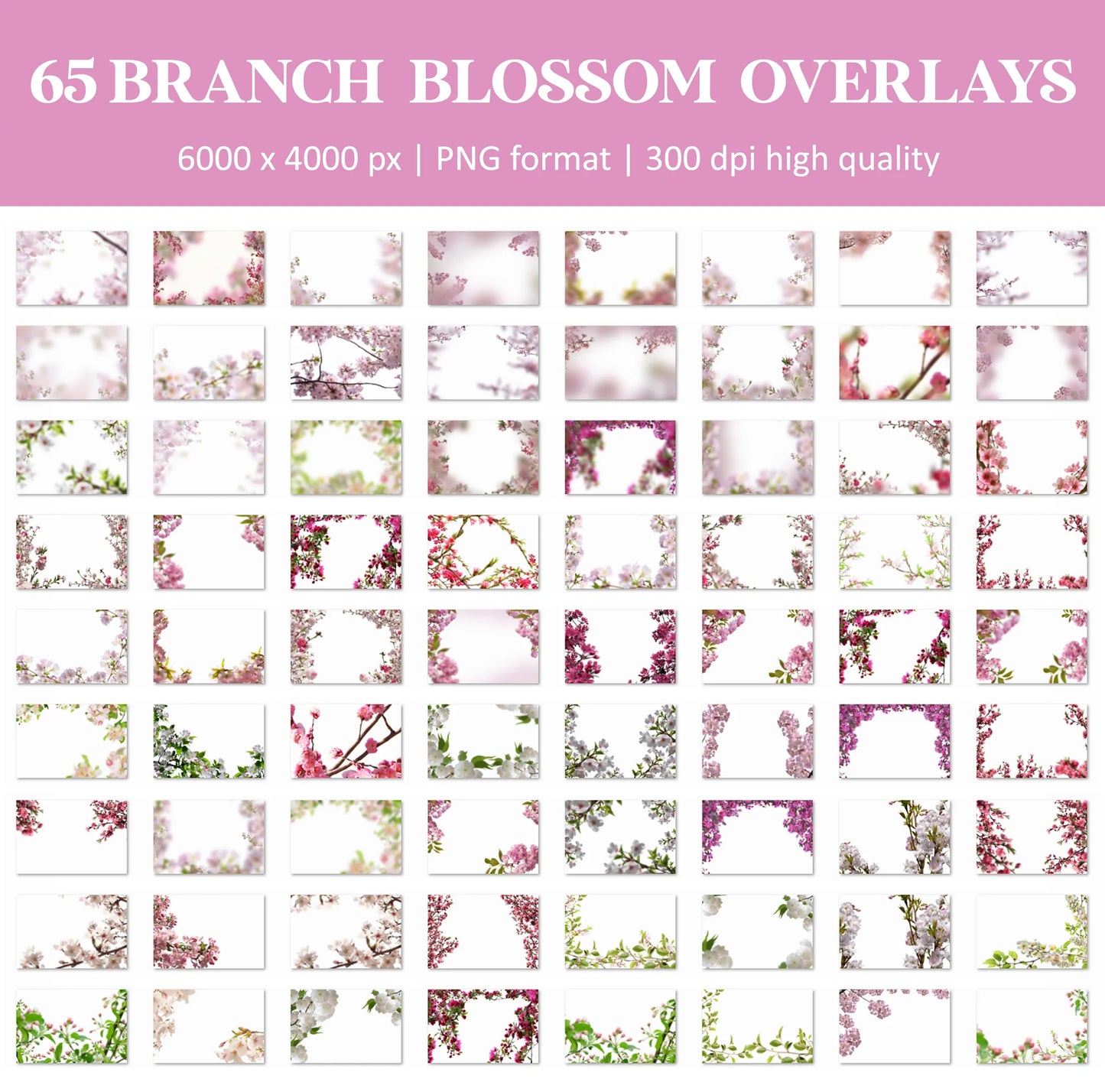 Blossom Branch Overlays for Photoshop - Painted Flower and Apple Blossom
