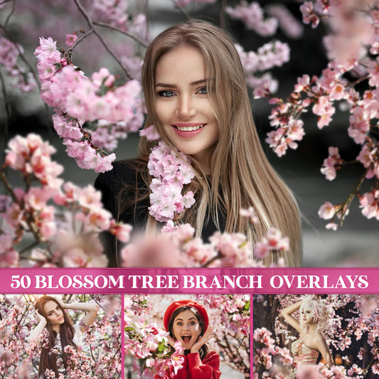 Blossom Tree Branch Overlays for Photoshop - Cherry and Apple Blossom PNG