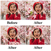 Blossom Tree Branch Overlays for Photoshop - Cherry and Apple Blossom PNG