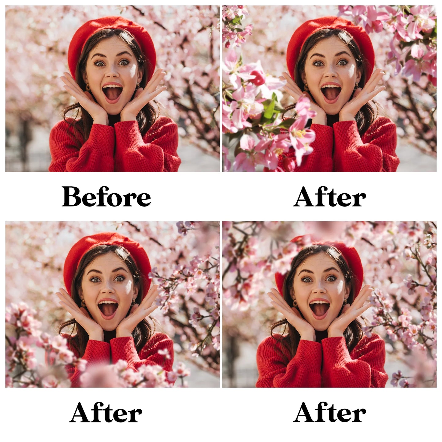 Blossom Tree Branch Overlays for Photoshop - Cherry and Apple Blossom PNG