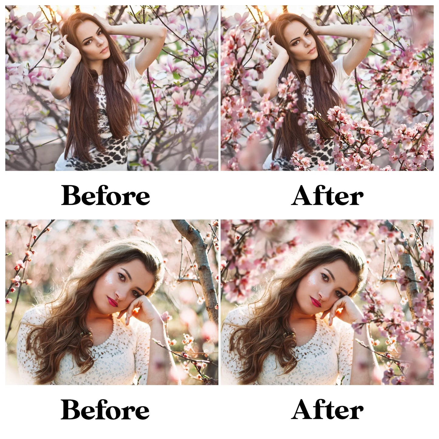 Blossom Tree Branch Overlays for Photoshop - Cherry and Apple Blossom PNG