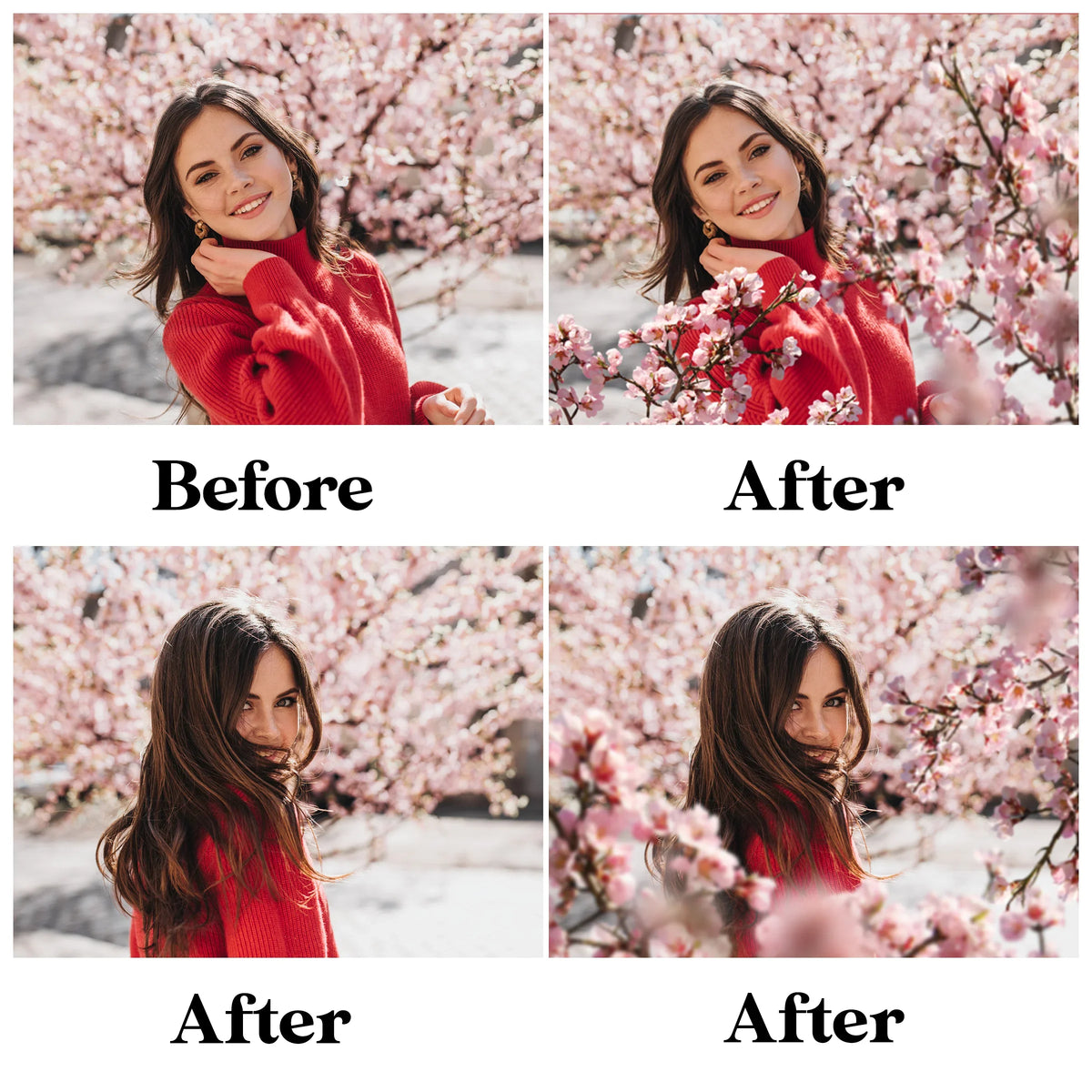 Blossom Tree Branch Overlays for Photoshop - Cherry and Apple Blossom PNG