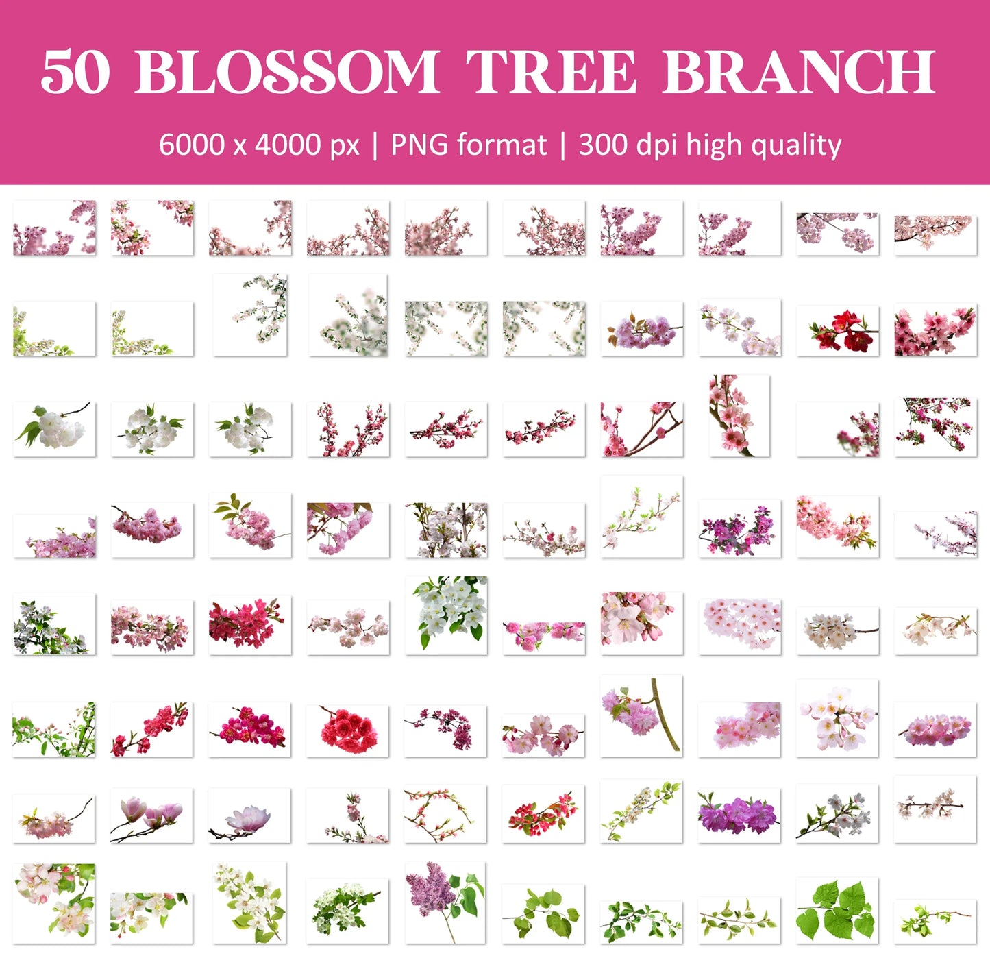 Blossom Tree Branch Overlays for Photoshop - Cherry and Apple Blossom PNG