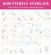 Butterfly Overlays for Photoshop - Monarch Wings and Summer Garden Effects