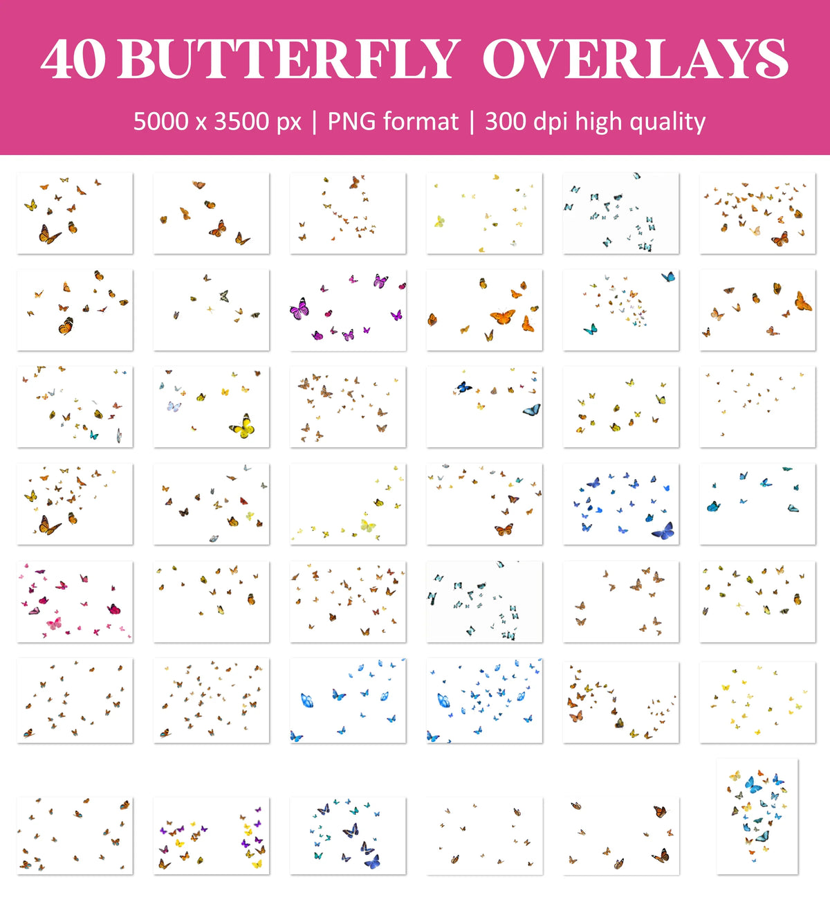 Butterfly Overlays for Photoshop - Monarch Wings and Summer Garden Effects