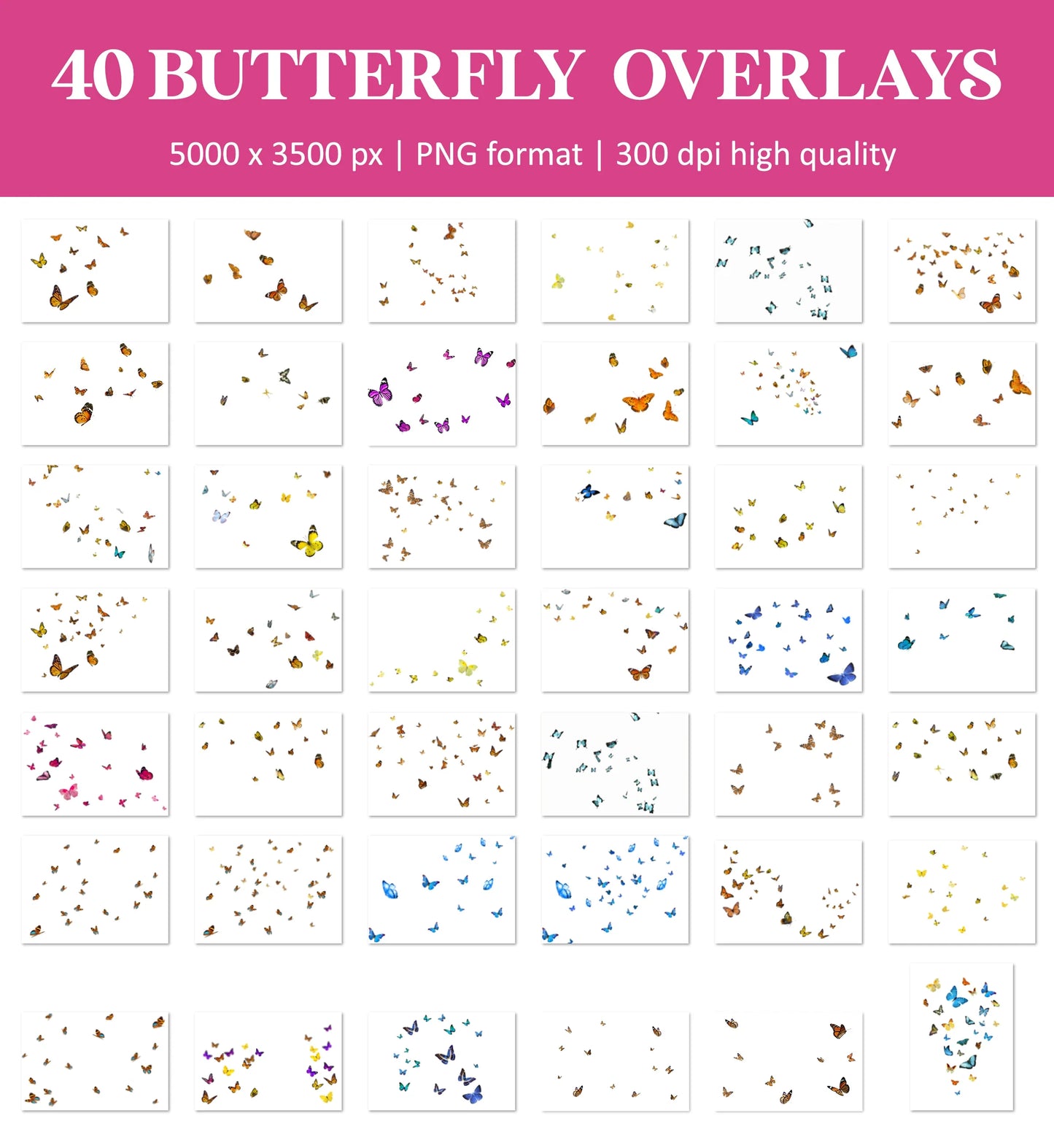 Butterfly Overlays for Photoshop - Monarch Wings and Summer Garden Effects