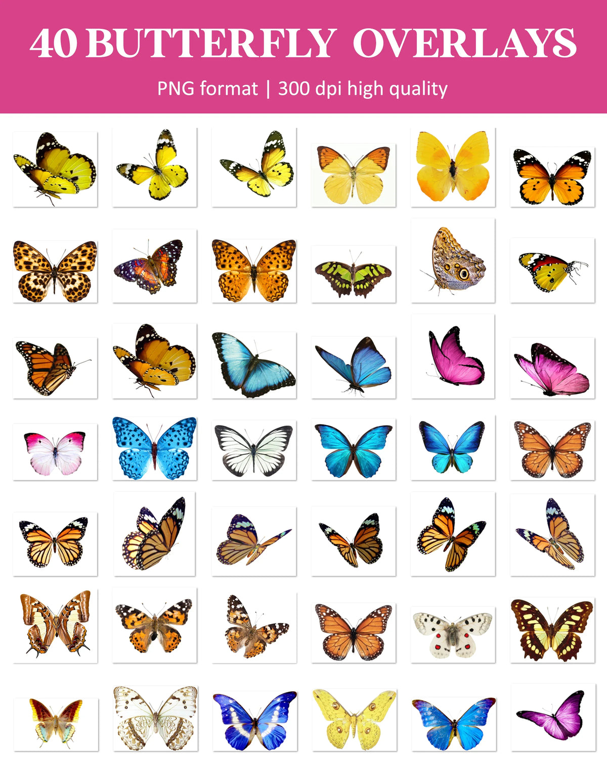 Butterfly Overlays for Photoshop - Monarch Wings and Summer Garden Effects