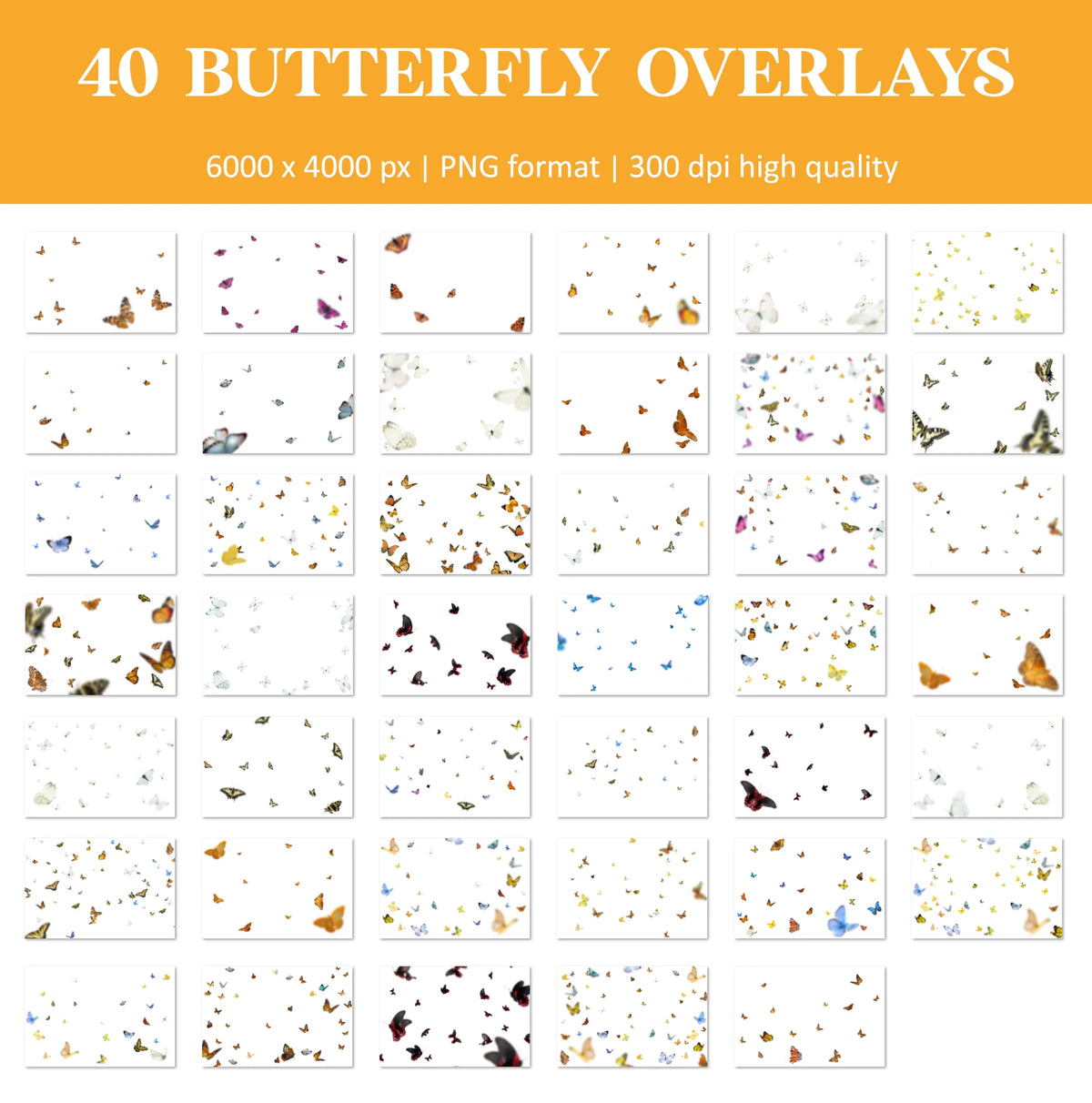 Butterfly Overlays for Photoshop - Realistic Flying Butterflies and Spring PNG