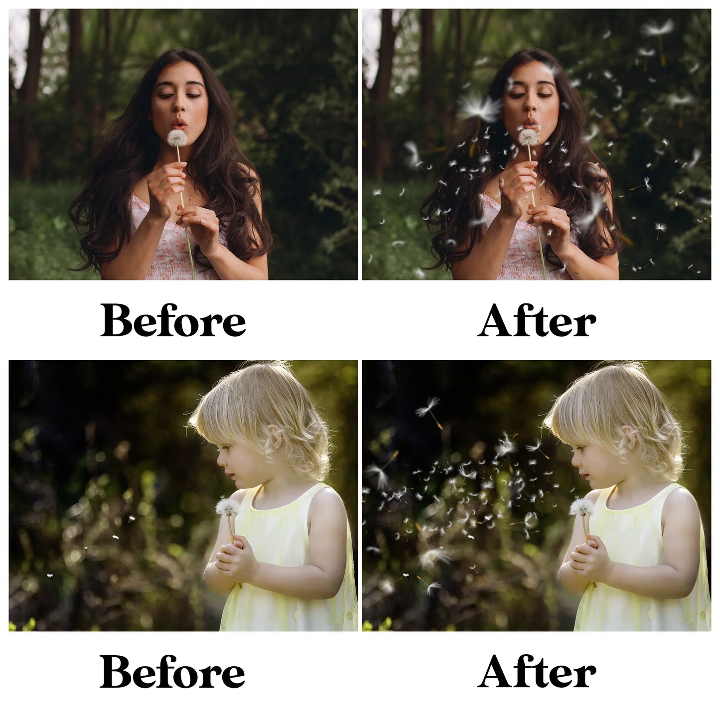 Dandelion Overlays for Photoshop - Blowing Seeds and Transparent PNG