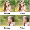 Dandelion Overlays for Photoshop - Blowing Seeds and Transparent PNG