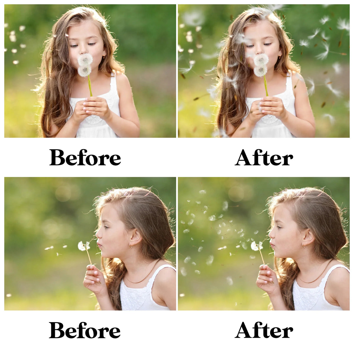 Dandelion Overlays for Photoshop - Blowing Seeds and Transparent PNG