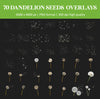 Dandelion Overlays for Photoshop - Blowing Seeds and Transparent PNG