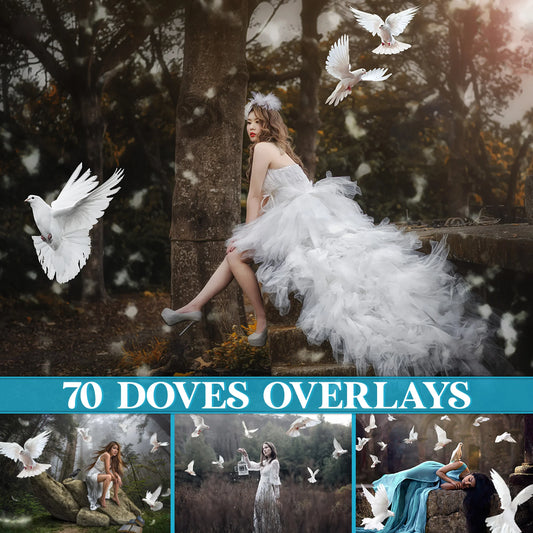 Dove Overlays for Photoshop - Wedding and White Bird PNG