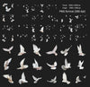 Dove Overlays for Photoshop - Wedding and White Bird PNG
