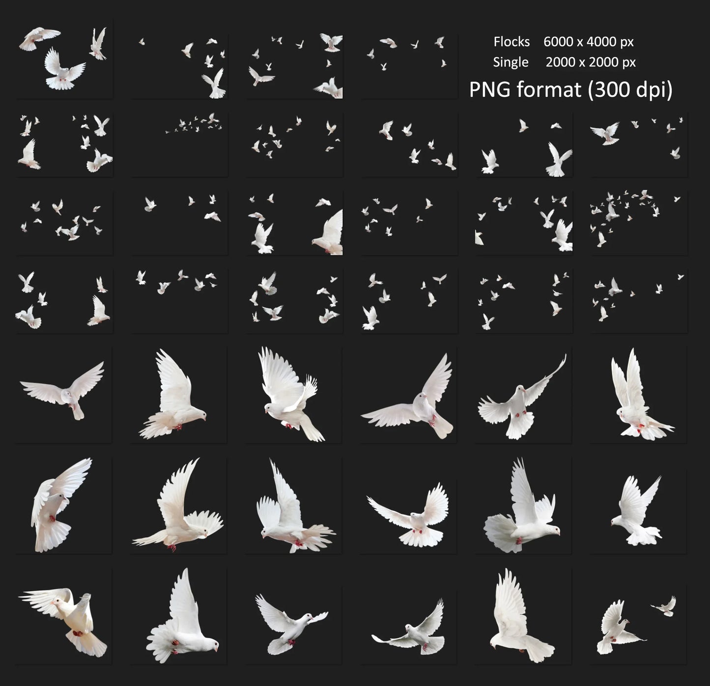 Dove Overlays for Photoshop - Wedding and White Bird PNG