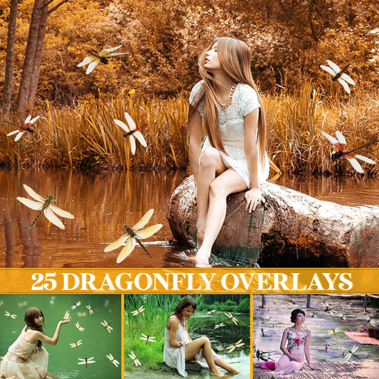 Dragonfly Overlays for Photoshop - Realistic Wings and Magical Garden Effects