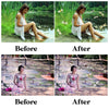 Dragonfly Overlays for Photoshop - Realistic Wings and Magical Garden Effects