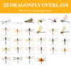 Dragonfly Overlays for Photoshop - Realistic Wings and Magical Garden Effects